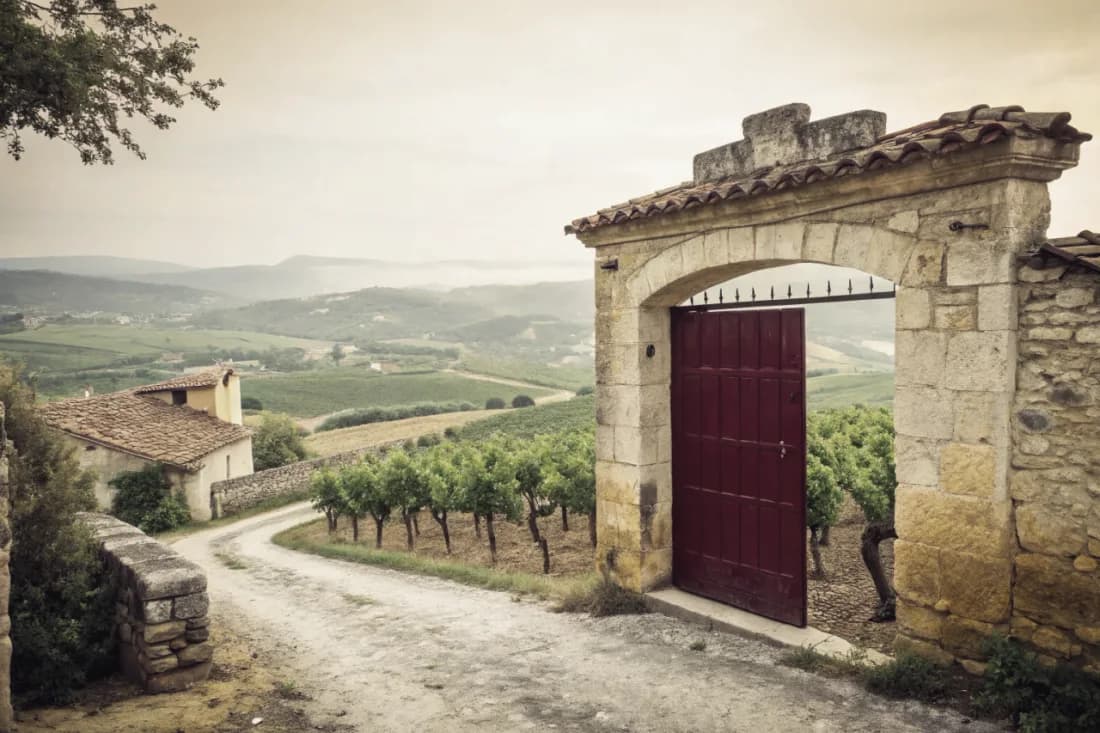 Vineyards of Domaine Gauby