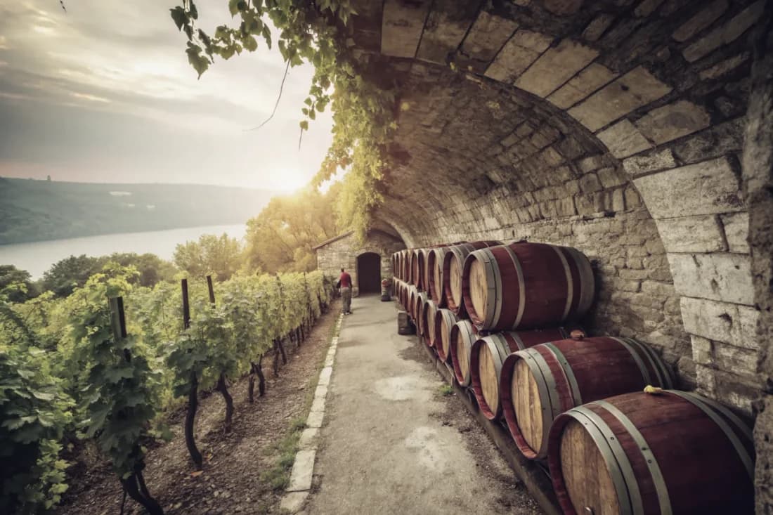 Vineyards of Dr. Konstantin Frank