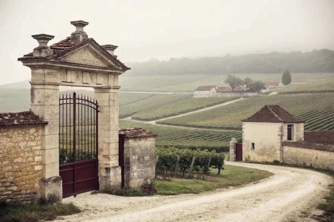 Vineyards of Jérôme Prévost