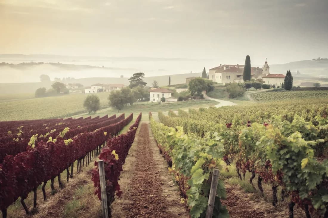 Vignobles de Montes
