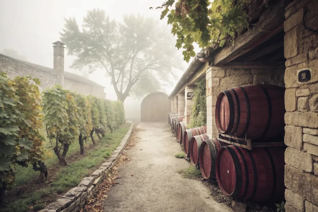 Vineyards of Opus One