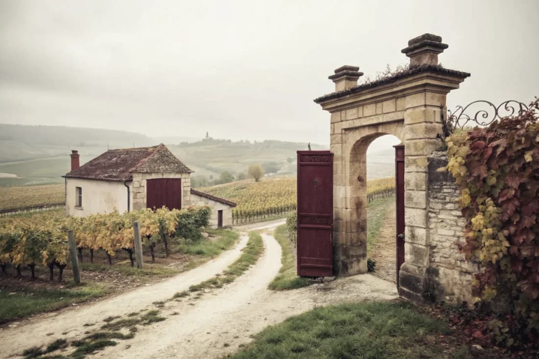 Vignobles de Weingut Robert Weil