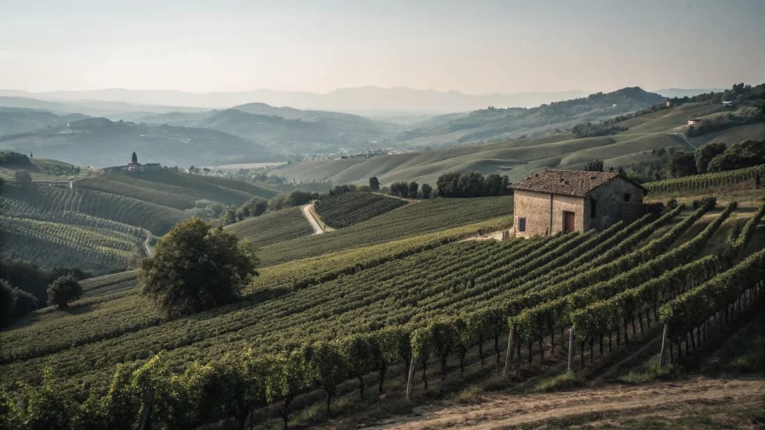 Vineyards of Alto Adige