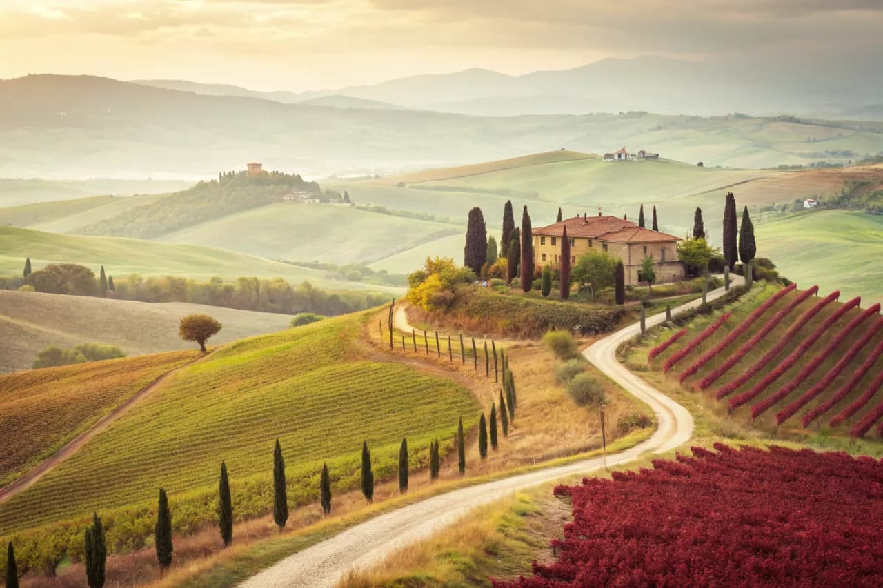 Vineyard landscape of Italy
