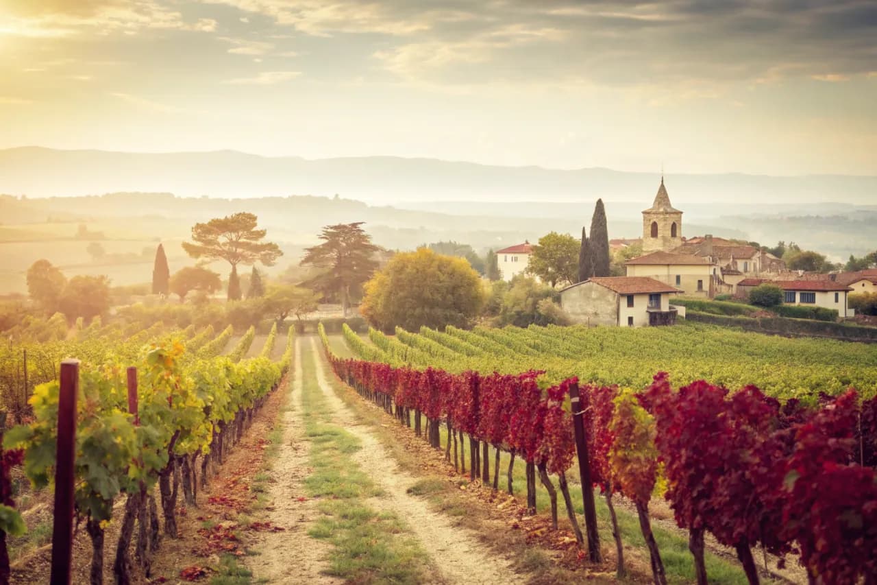 Vignobles de Achaval-Ferrer