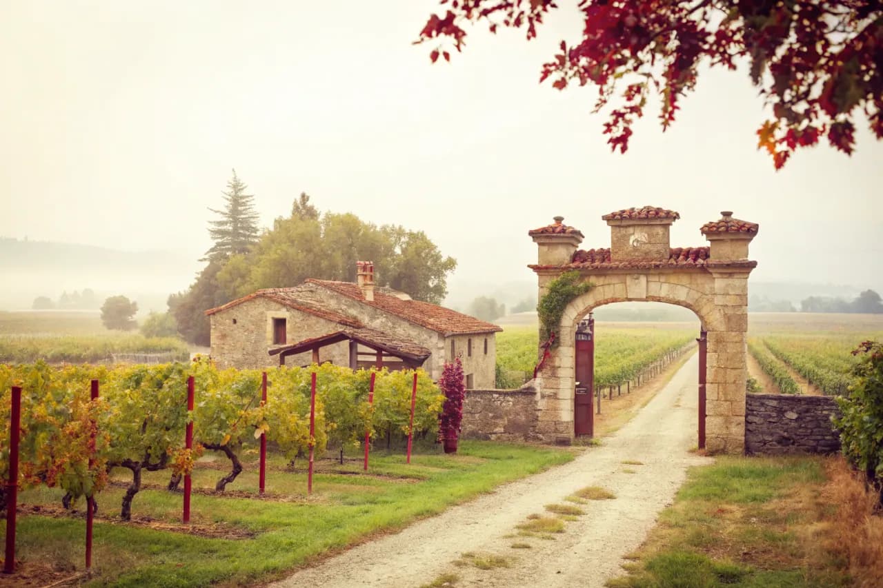 Vignobles de Cayuse Vineyards