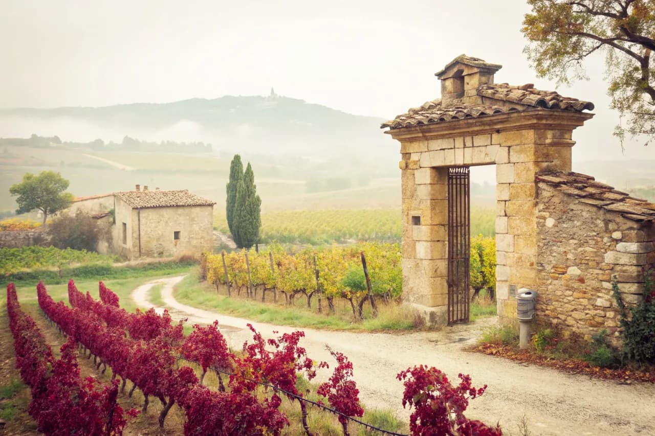Vignobles de Bodegas Chivite