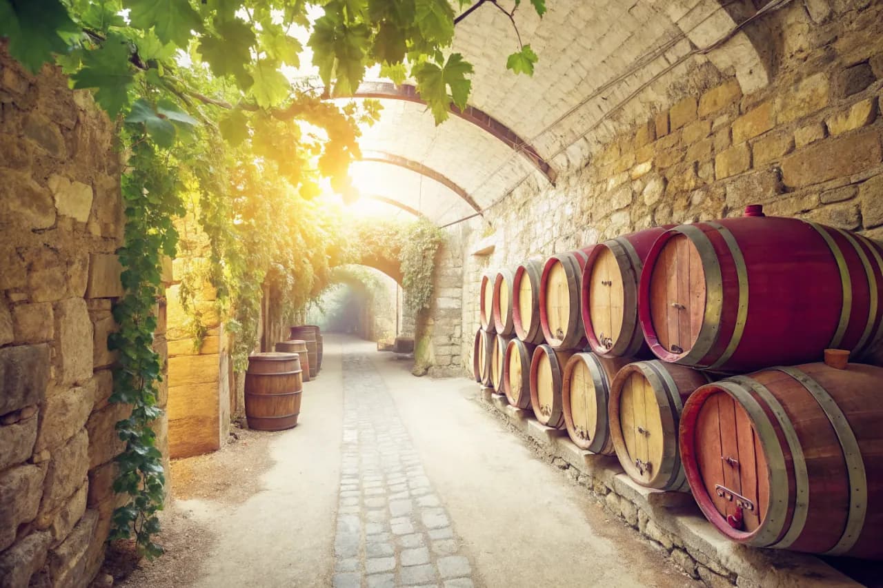 Vineyards of Cullen Wines
