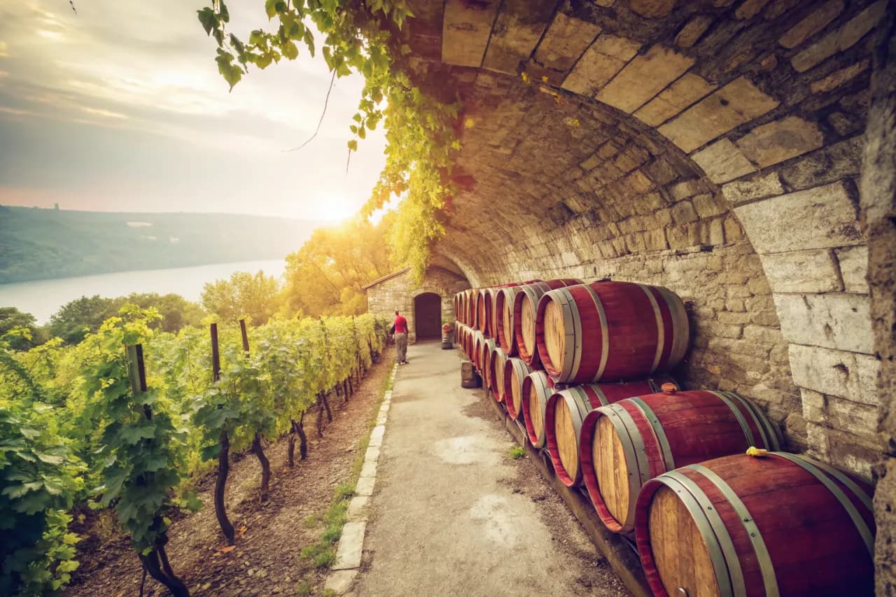 Vineyards of Dr. Konstantin Frank