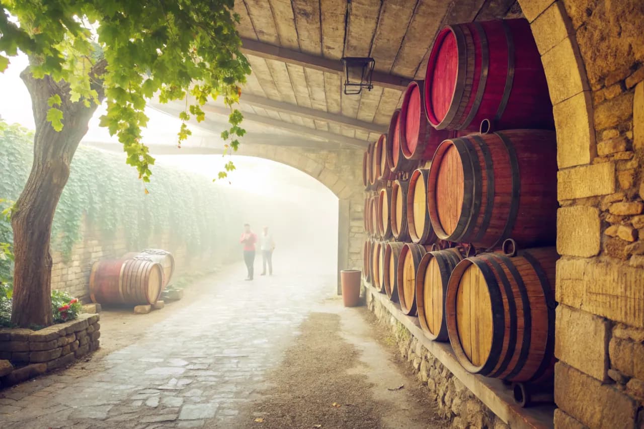 Vignobles de Viña Errázuriz