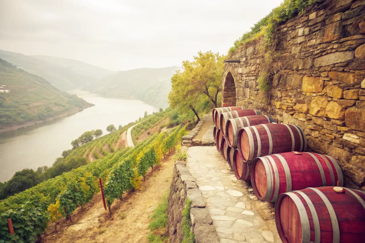 Vineyards of Guímaro