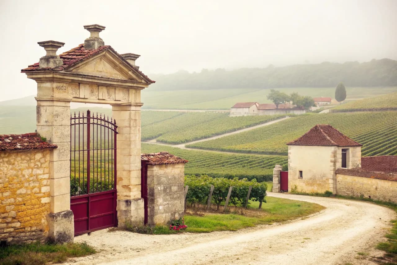 Vineyards of Jérôme Prévost