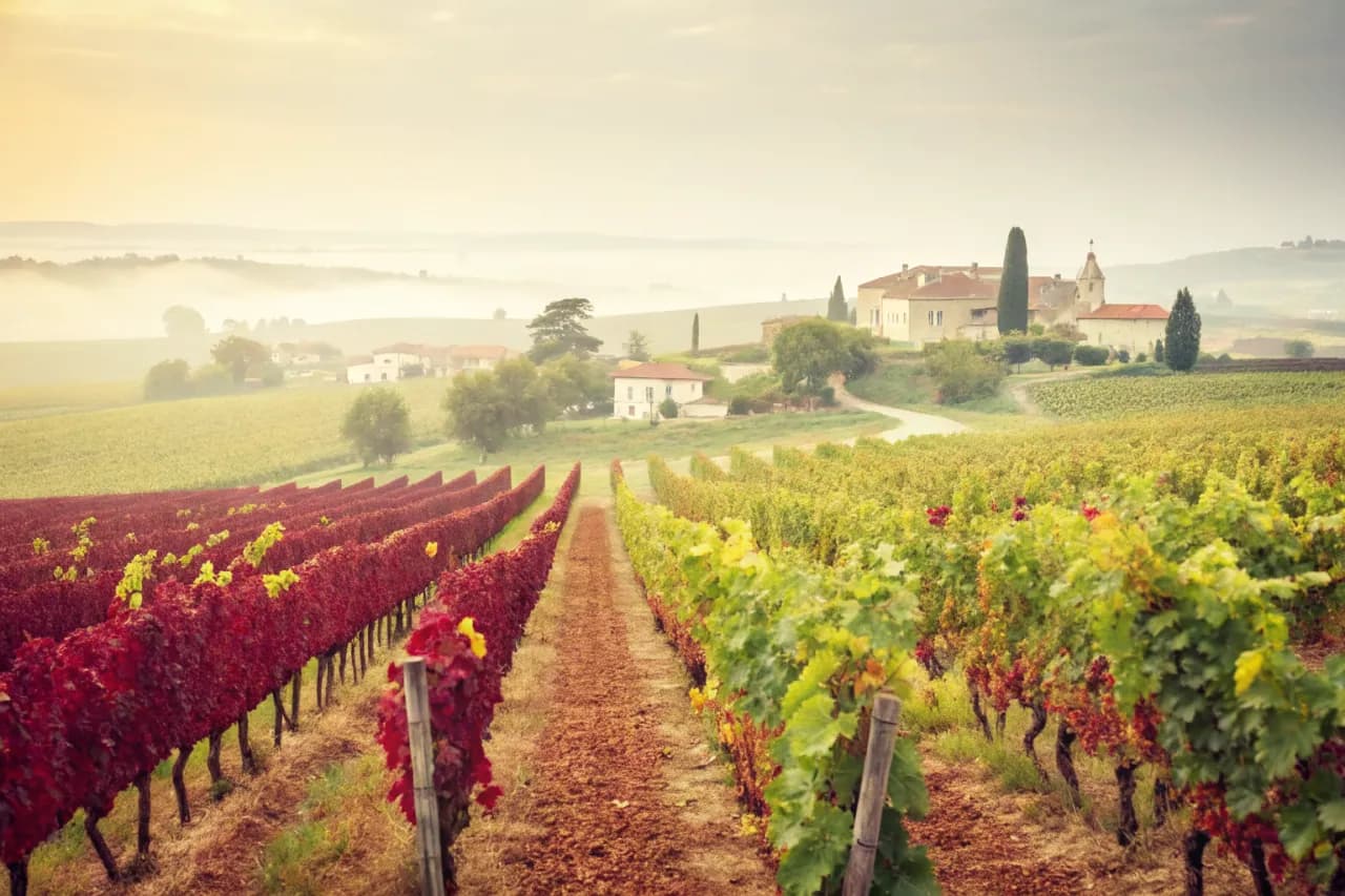 Vignobles de Montes