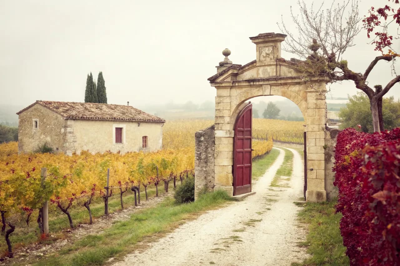 Vineyards of Pieropan