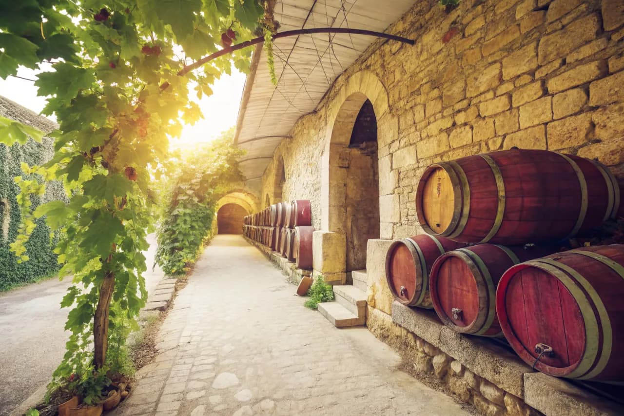 Vignobles de Te Mata Estate