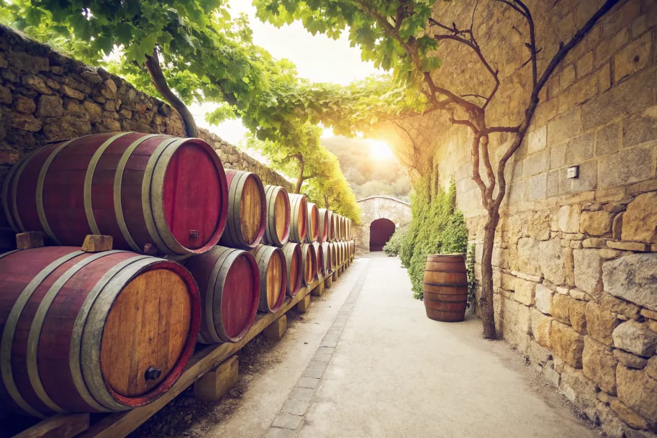 Vignobles de Teso La Monja