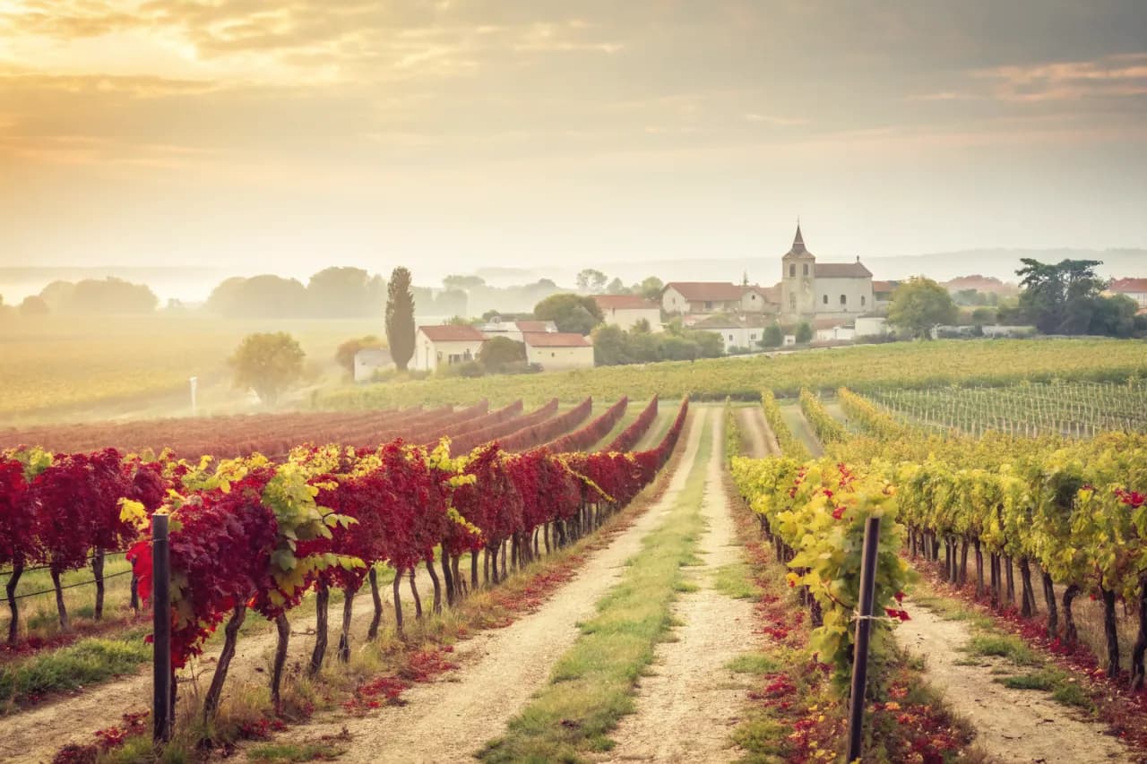 Vignobles de Torbreck
