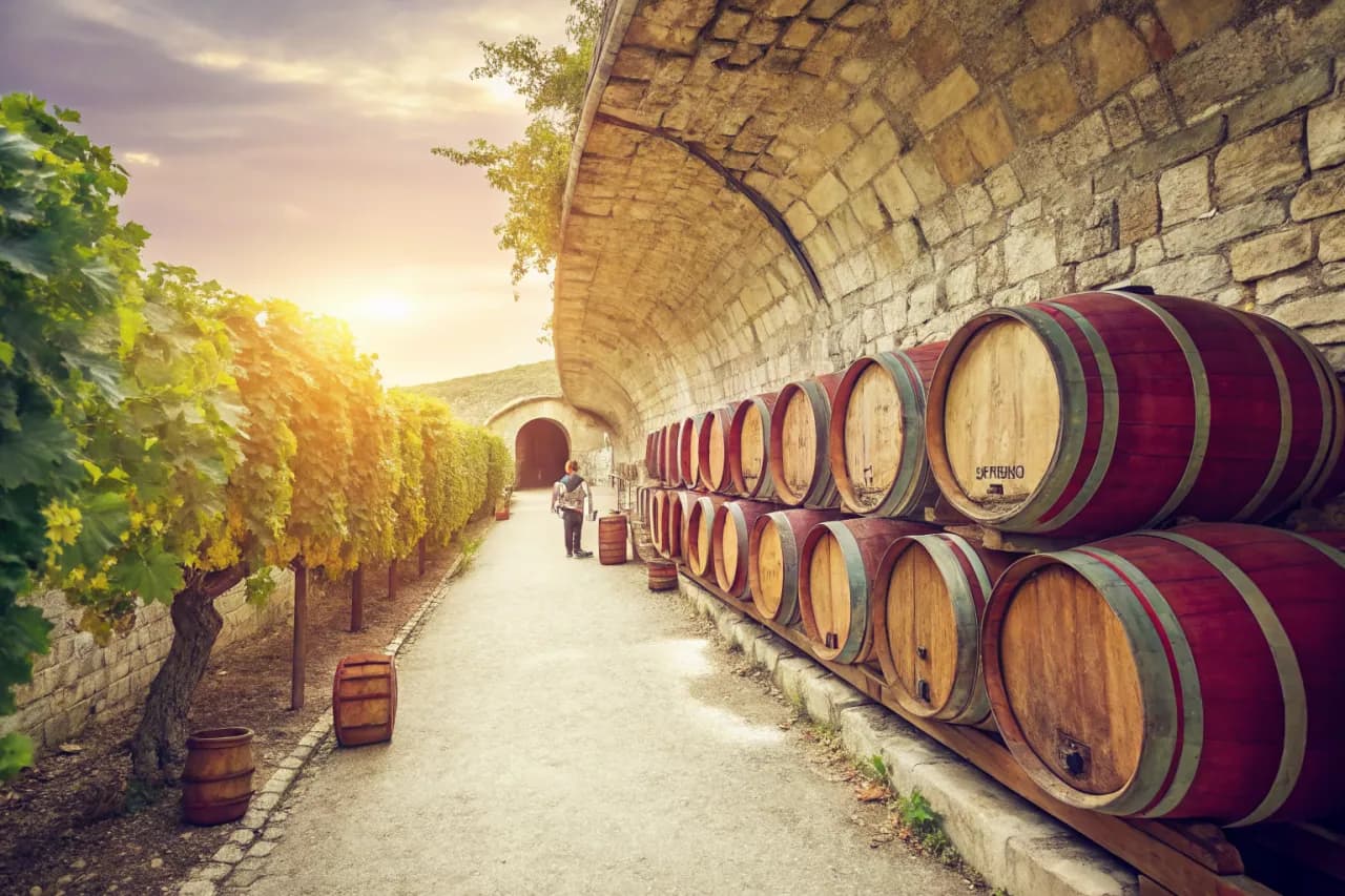 Vignobles de Zuccardi Valle de Uco