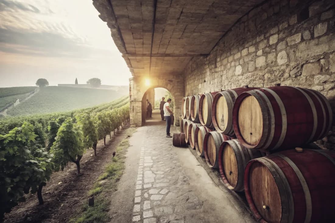 Vineyards of Craggy Range
