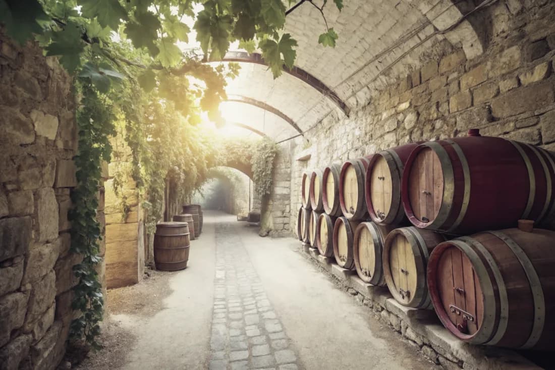 Vineyards of Cullen Wines
