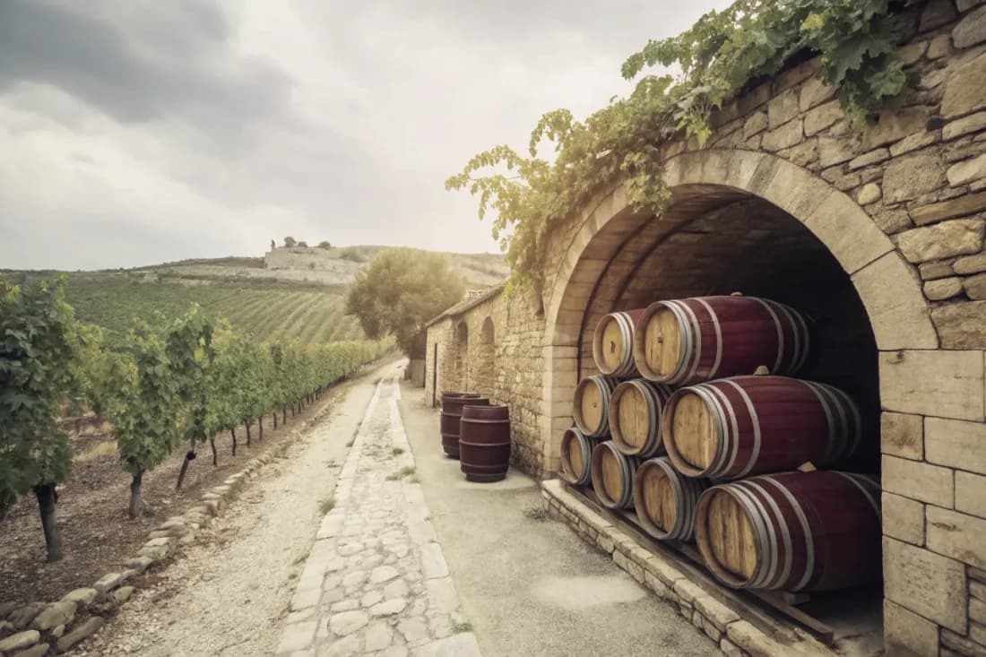 Vineyards of Mas Amiel