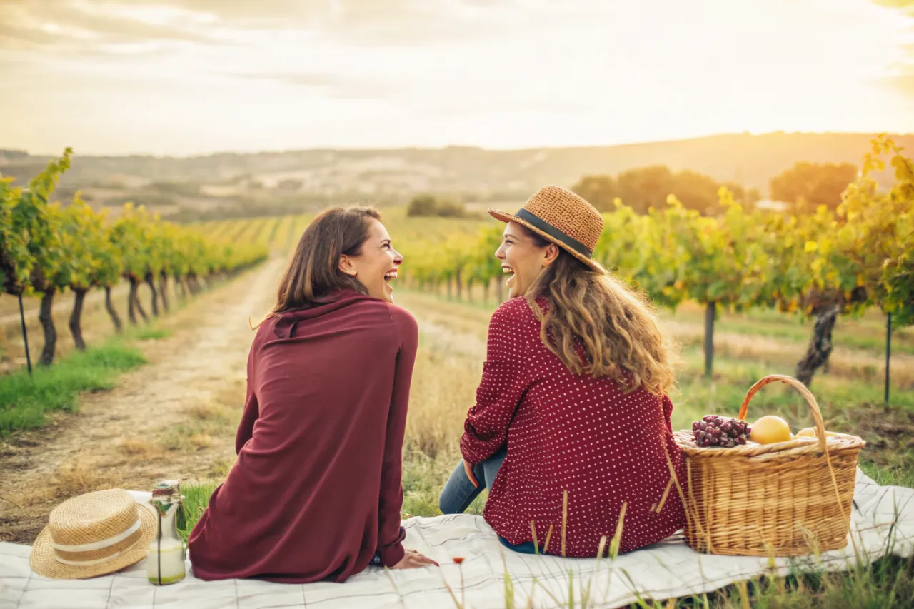 Vineyards of Barossa Valley