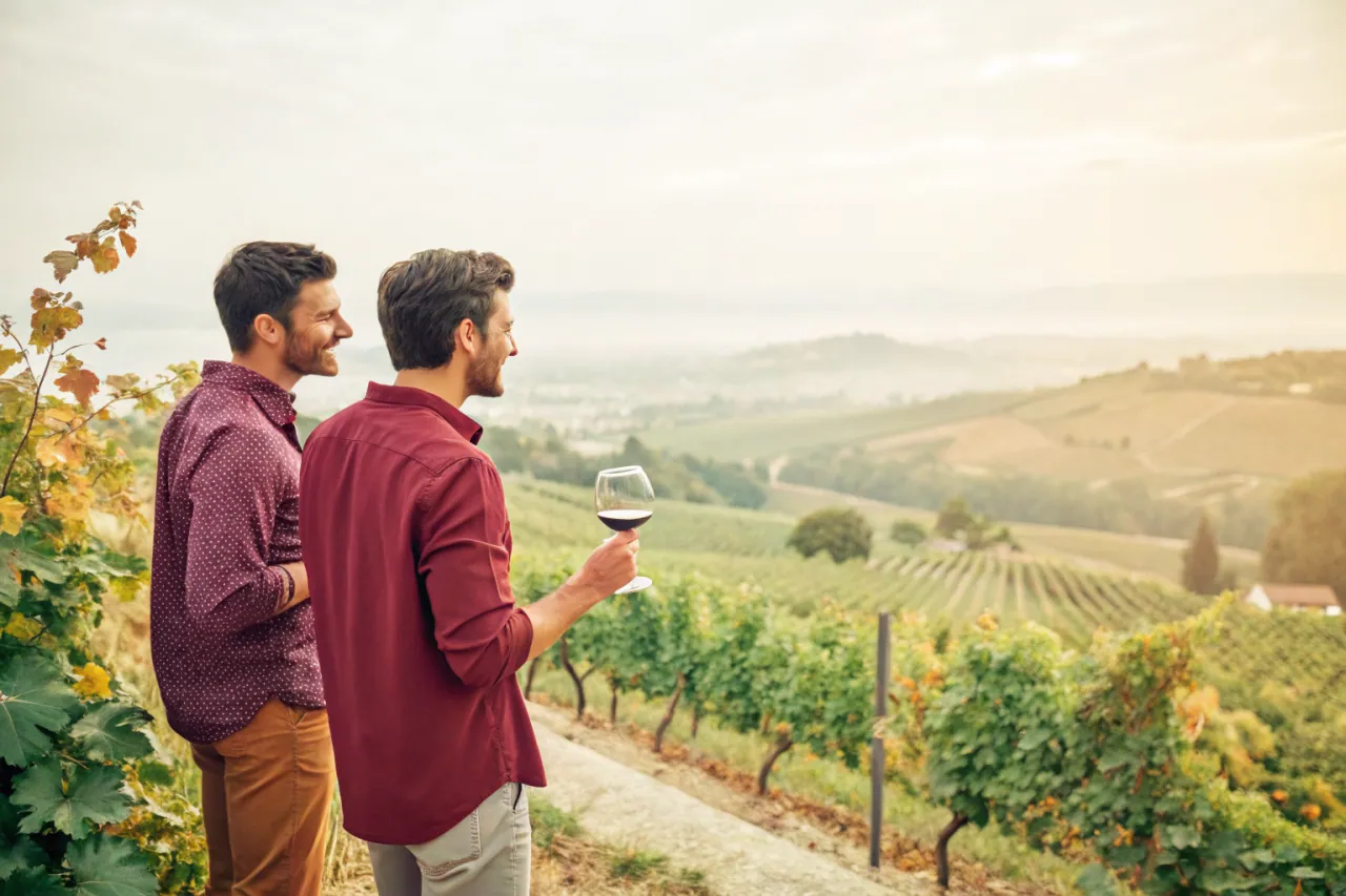 Vineyards of California