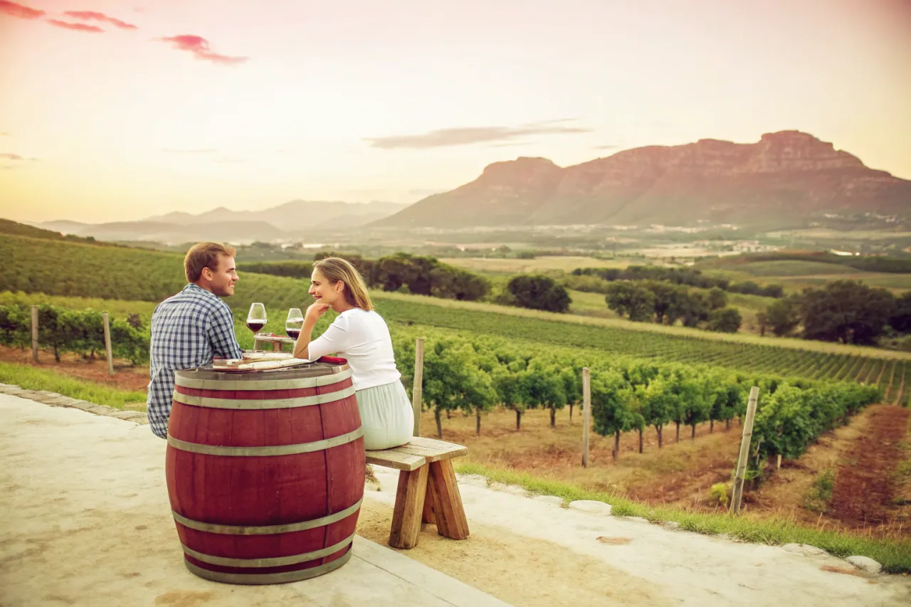 Vineyards of Hemel-en-Aarde