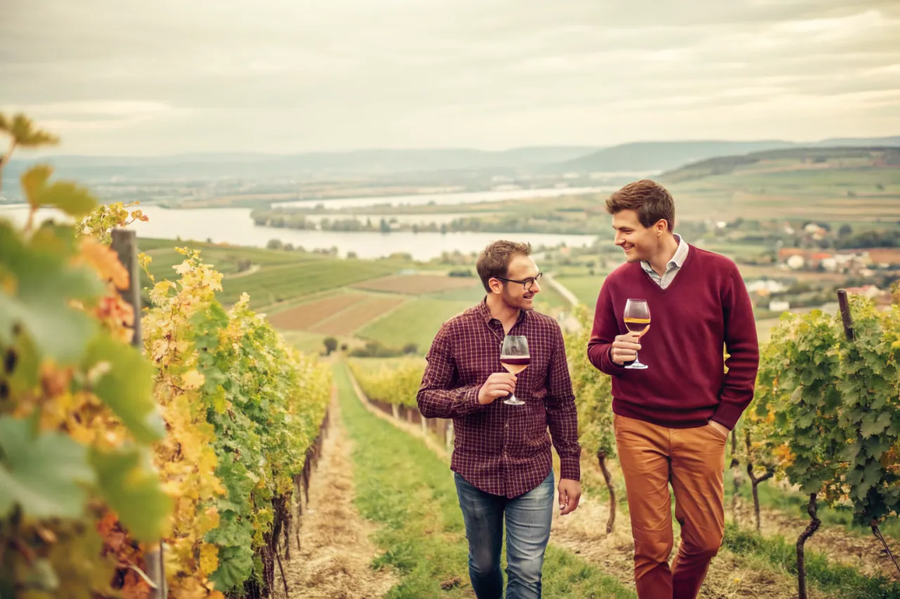 Vineyards of Kamptal & Kremstal