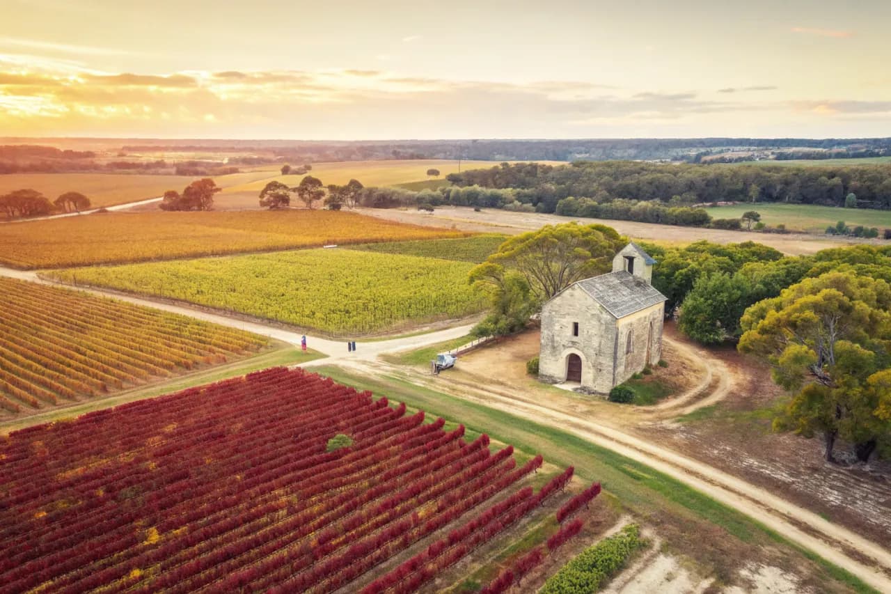 Vineyards of Margaret River