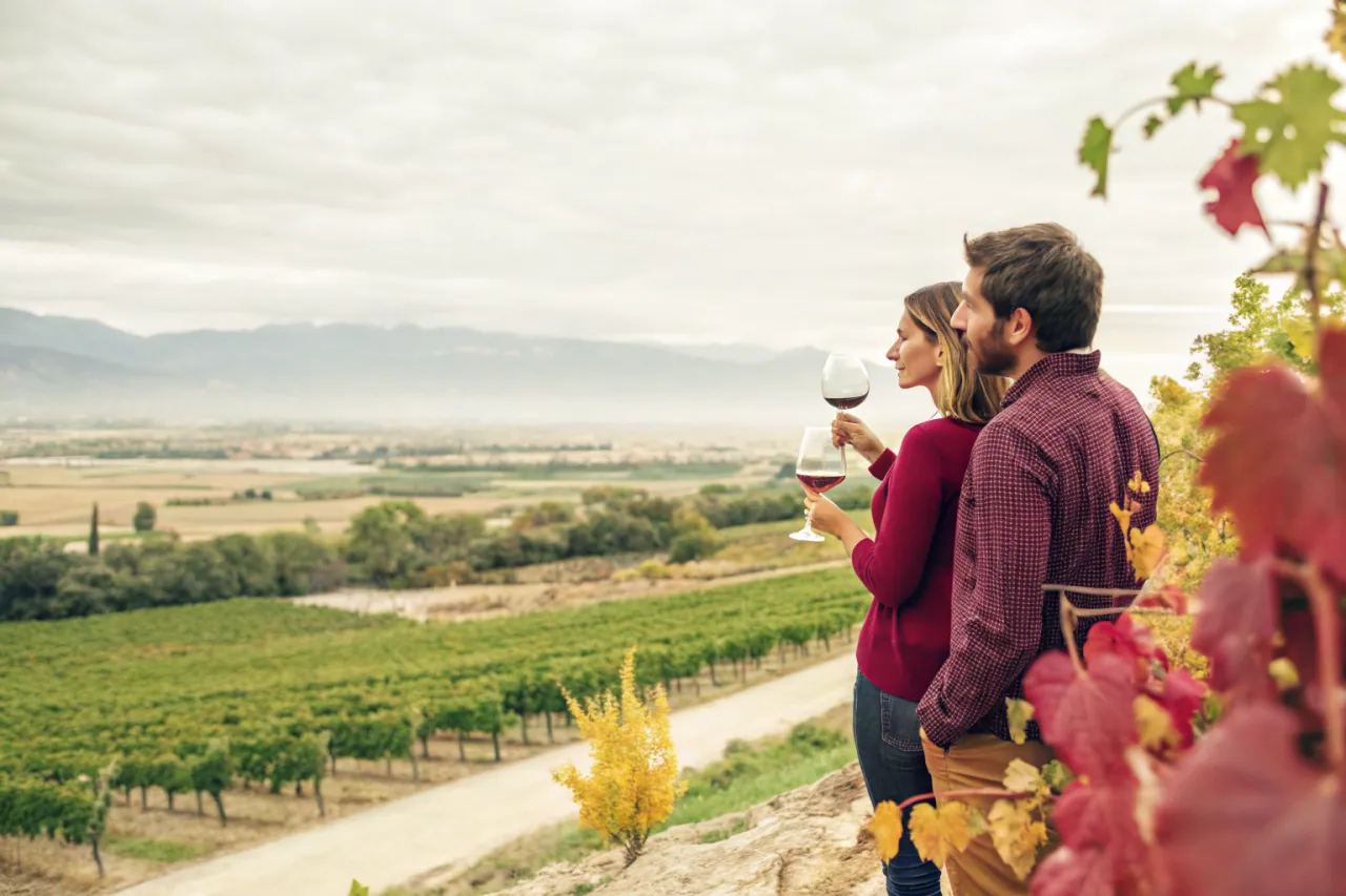 Vineyards of Mendoza