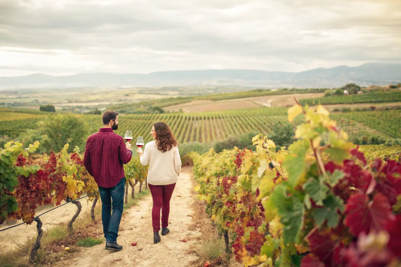 Vineyards of Naoussa