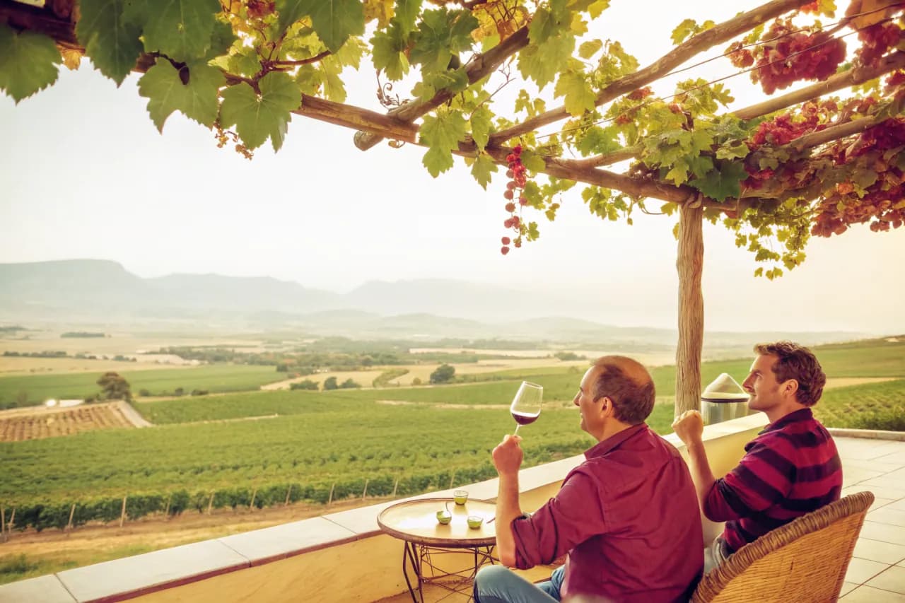 Vineyards of Swartland