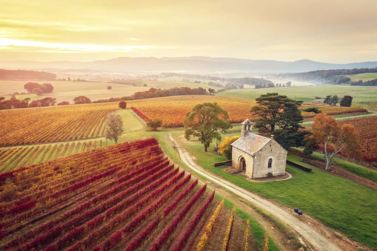 Vineyards of Yarra Valley